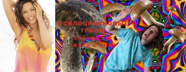 прущий лед Белоозёрский