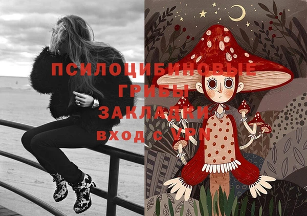 COCAINE Белокуриха