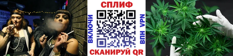 Каннабис Bruce Banner Курильск